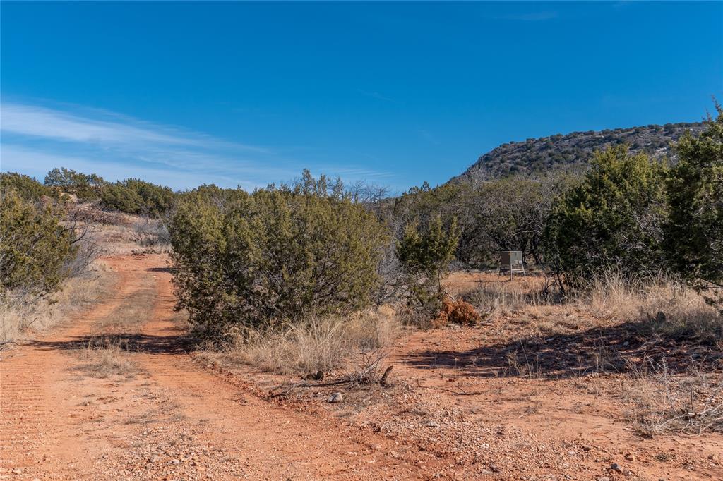 T3 County Road 175 Winters, TX 79567 - Photo 16 of 27 a view of a yard with a tree