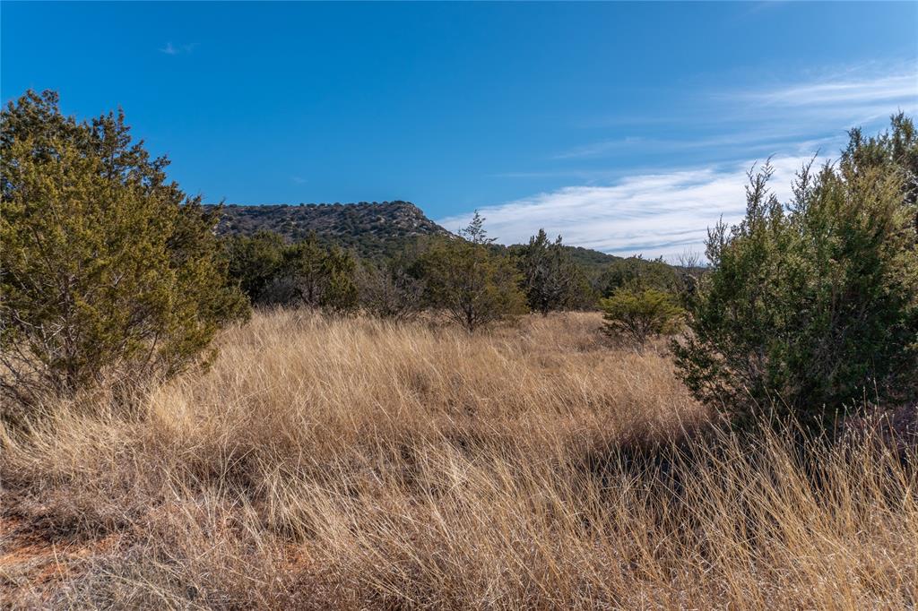 T3 County Road 175 Winters, TX 79567 - Photo 17 of 27 a view of a lush green forest