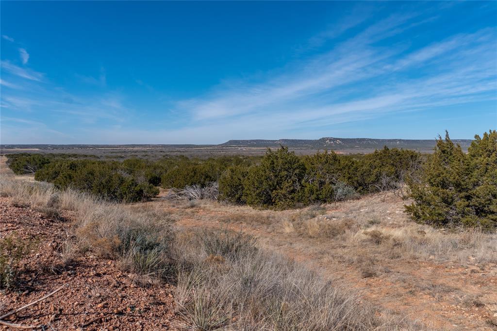 T3 County Road 175 Winters, TX 79567 - Photo 18 of 27