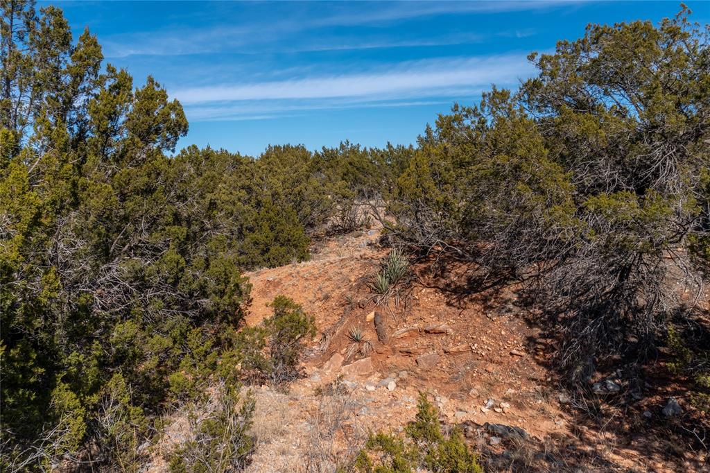 T3 County Road 175 Winters, TX 79567 - Photo 19 of 27