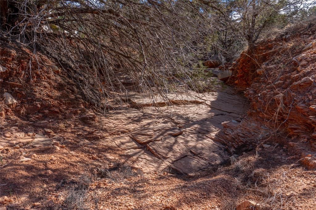 T3 County Road 175 Winters, TX 79567 - Photo 20 of 27 a view of a dry yard with lots of trees