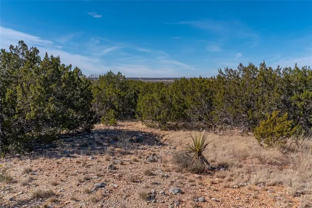 $391,500 | T3 County Road 175, Winters, TX 79567