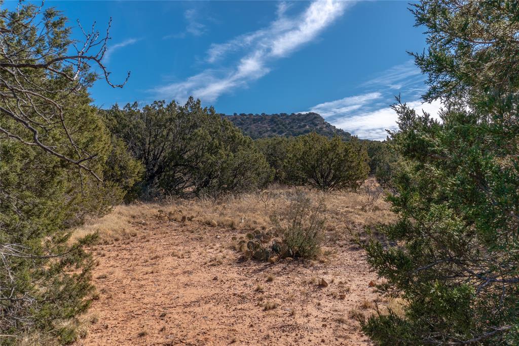 T3 County Road 175 Winters, TX 79567 - Photo 22 of 27 a view of a yard with a tree