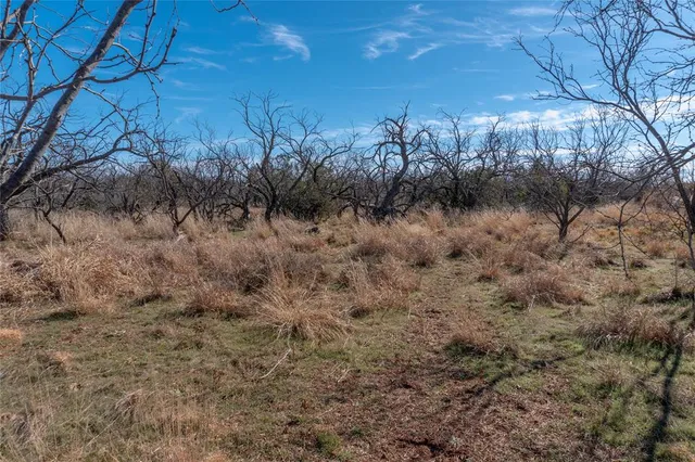 $391,500 | T3 County Road 175, Winters, TX 79567