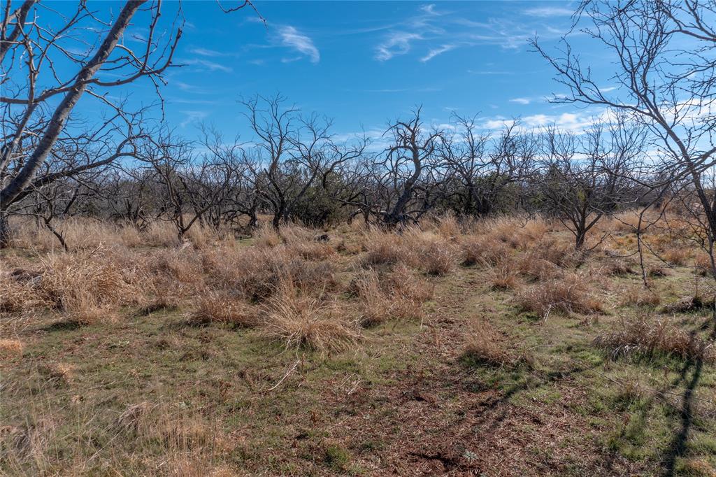 T3 County Road 175 Winters, TX 79567 - Photo 23 of 27