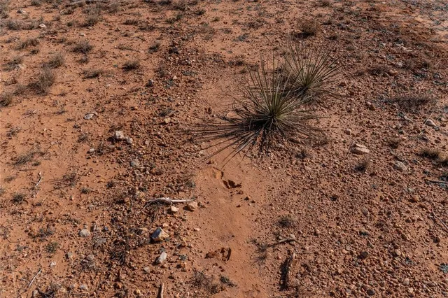 $391,500 | T3 County Road 175, Winters, TX 79567