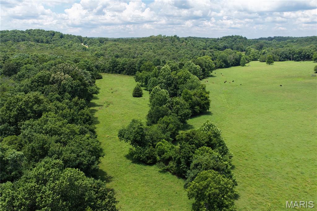 Tbd Fairview Road Imboden, AR 72434 - Photo 15 of 24