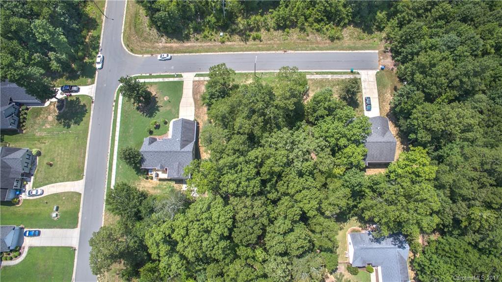 front view of a house with a tree