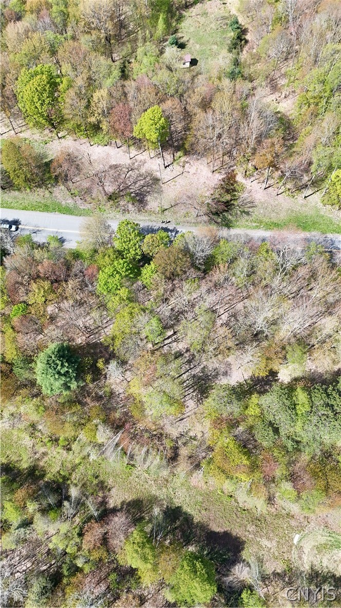 11470 River Road Florence, NY 13316 - Photo 11 of 13