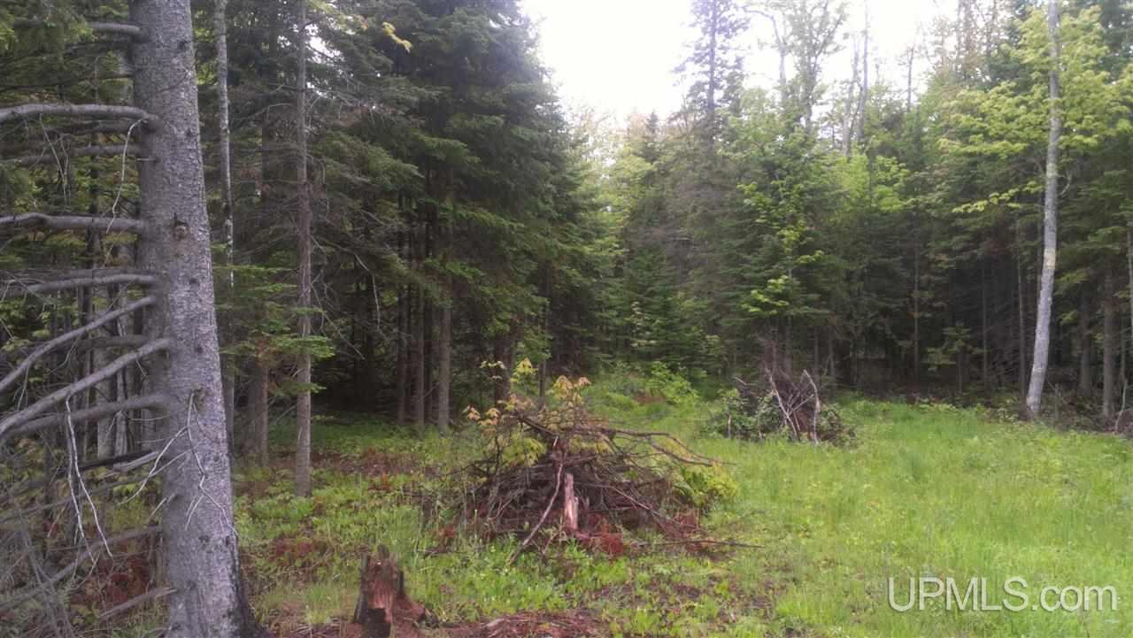 Tbd Us41 & South Entry Road Chassell, MI 49916 - Photo 2 of 3