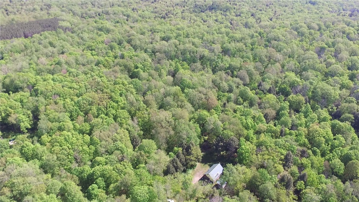 207 Cherry Lane German, NY 13040 - Photo 25 of 47