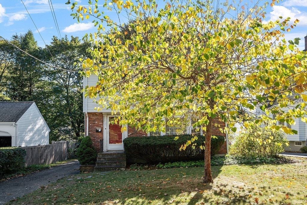 103 North Hancock Street Lexington, MA 02420 - Photo 15 of 18 a view of a backyard with plants and large trees