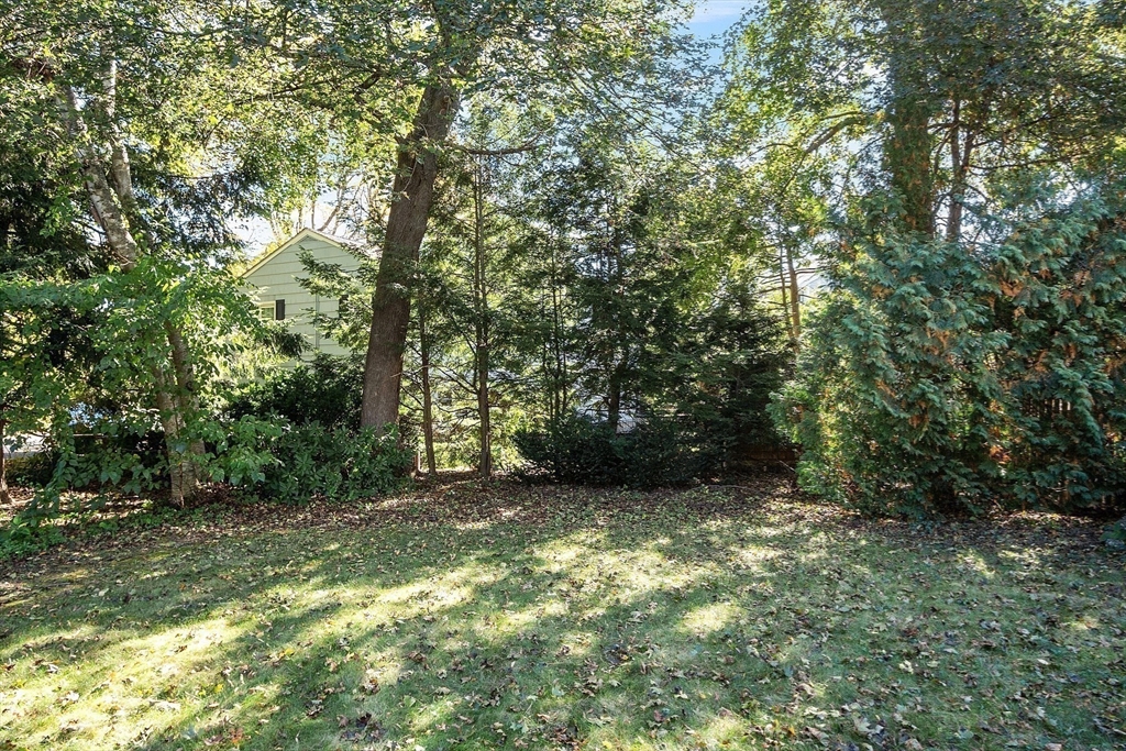103 North Hancock Street Lexington, MA 02420 - Photo 4 of 18 a big yard with lots of green space and house view