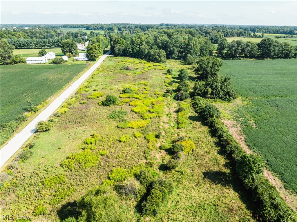 Webster Road Centerburg, OH 43011 - Photo 6 of 11 Gallery Image 6