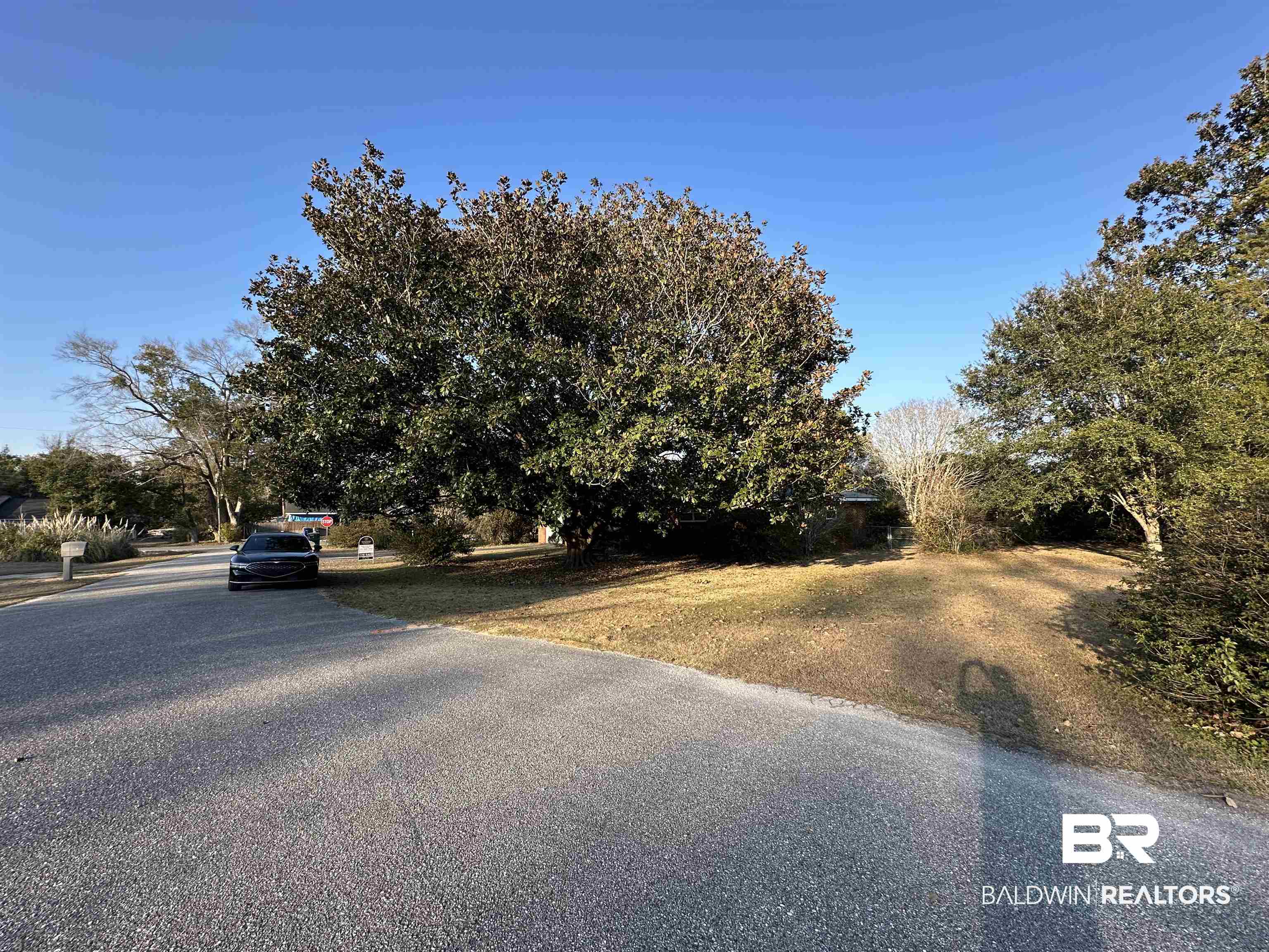 1 Yupon Circle Foley, AL 36535 - Photo 3 of 30 View of asphalt street