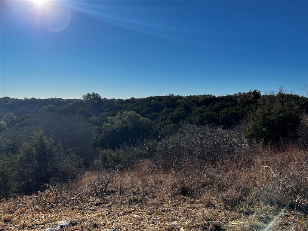 1301 Hidden Rock Road Glen Rose, TX 76043 - Photo 6 of 9