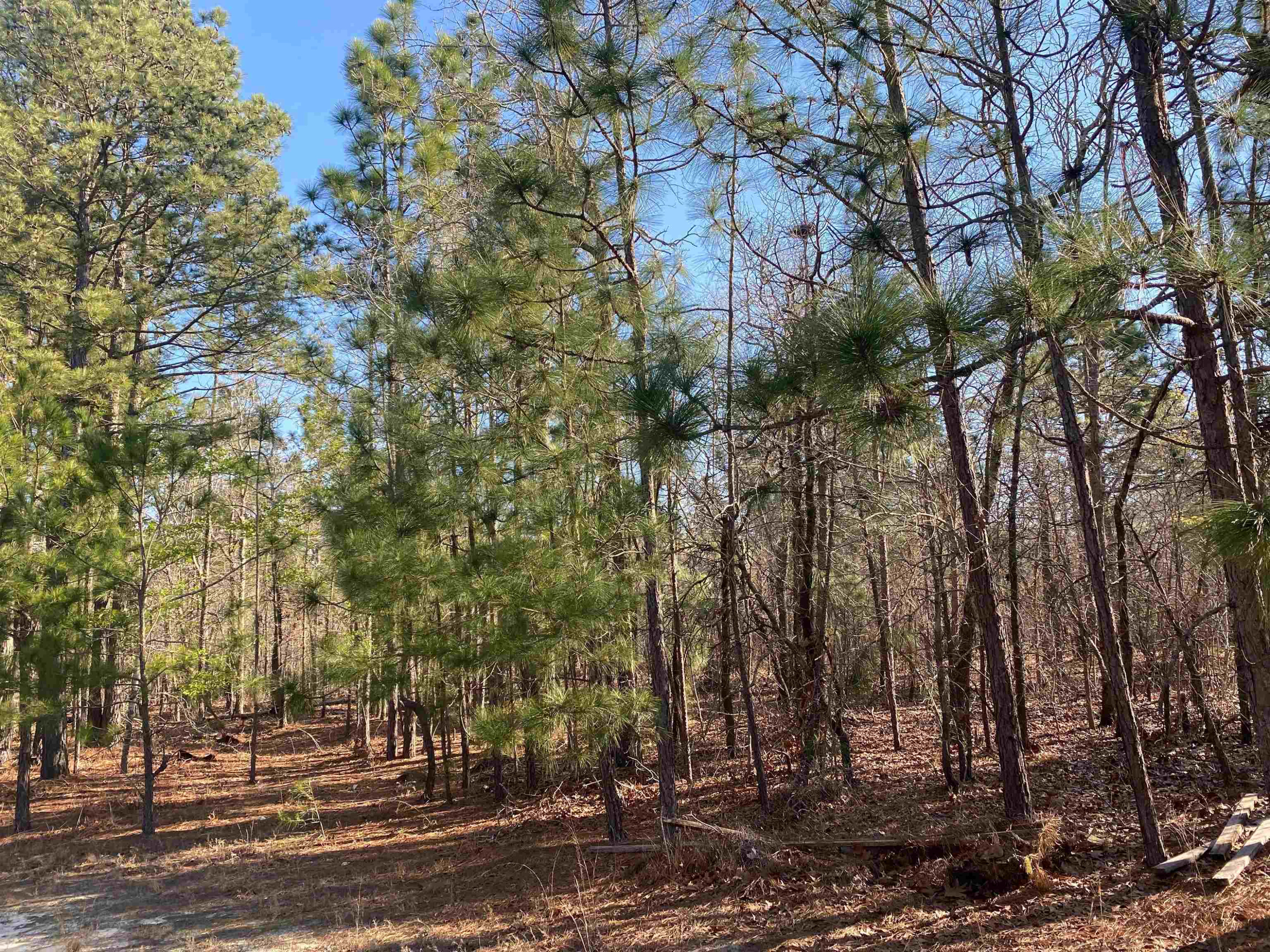 0 Rockfish Road Raeford, NC 28376 - Photo 1 of 6 Rockfish Rd.
