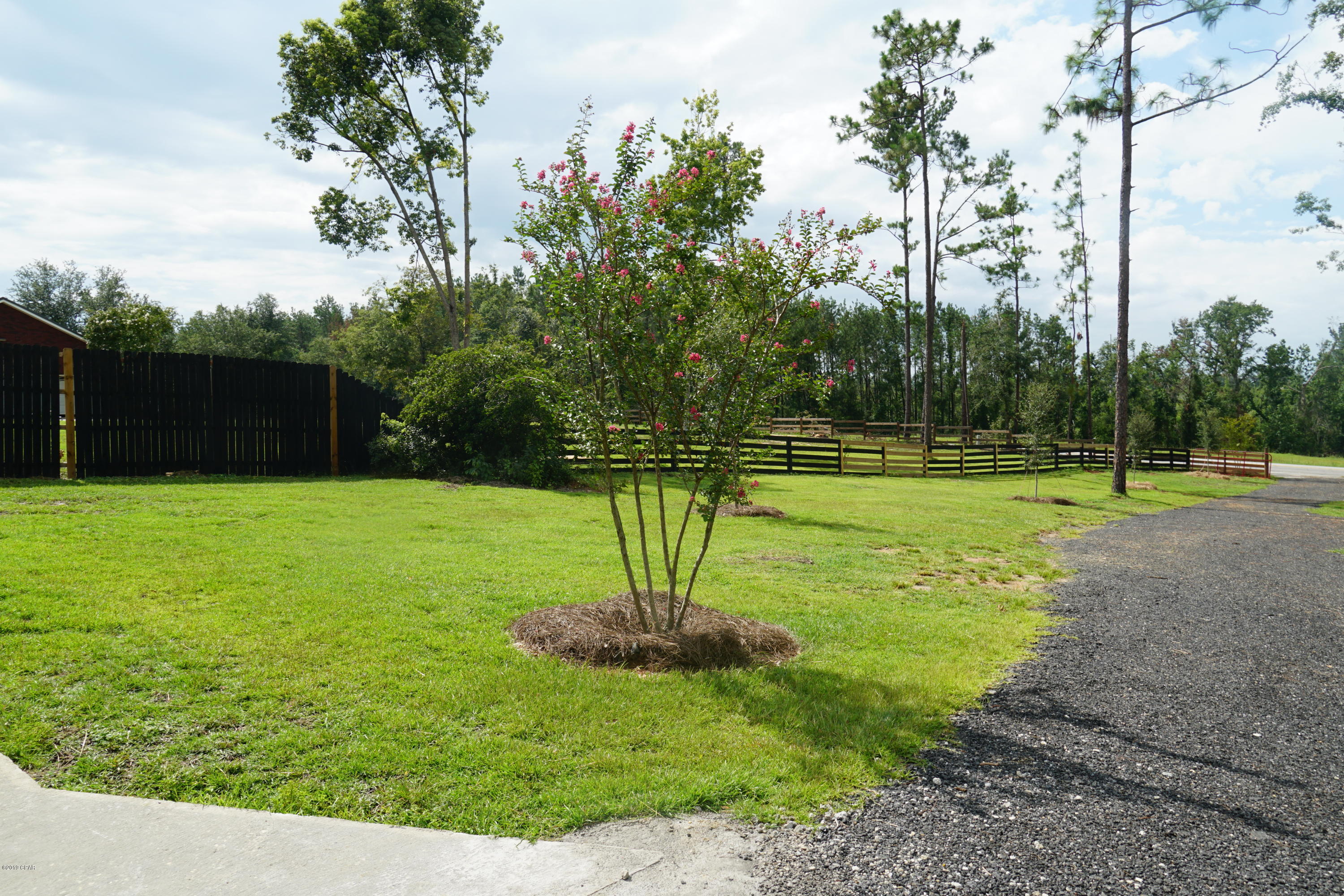 3695 Kynesville Road Marianna, FL 32448 - Photo 8 of 39