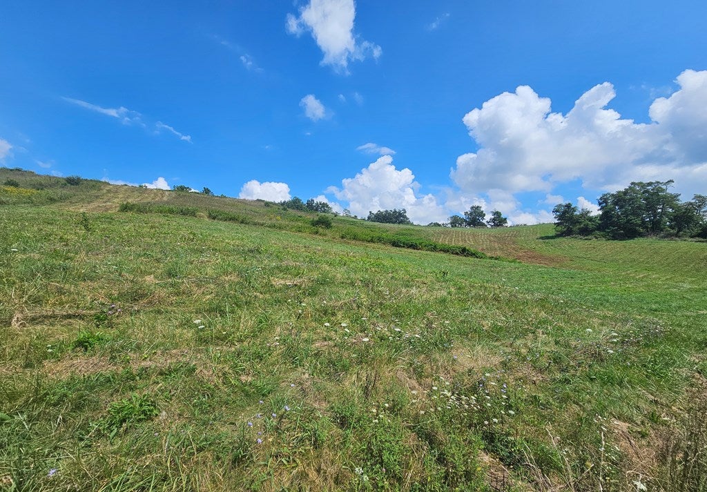 1133 Peery Addition Road Tazewell, VA 24651 - Photo 5 of 49 Gallery Image 5
