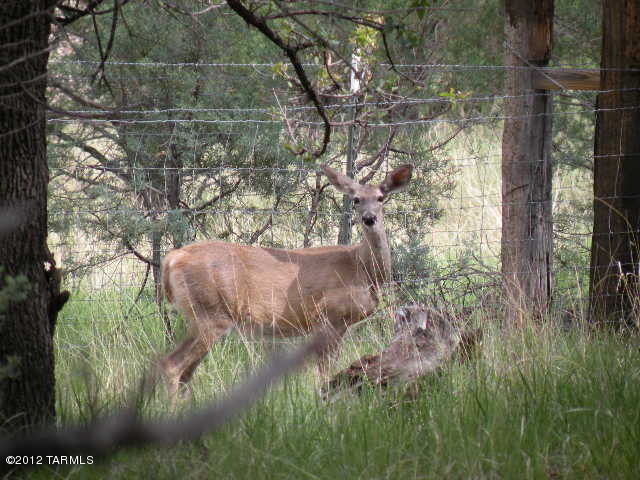 7 Umpire Ranch Road Elgin, AZ 85611 - Photo 26 of 31