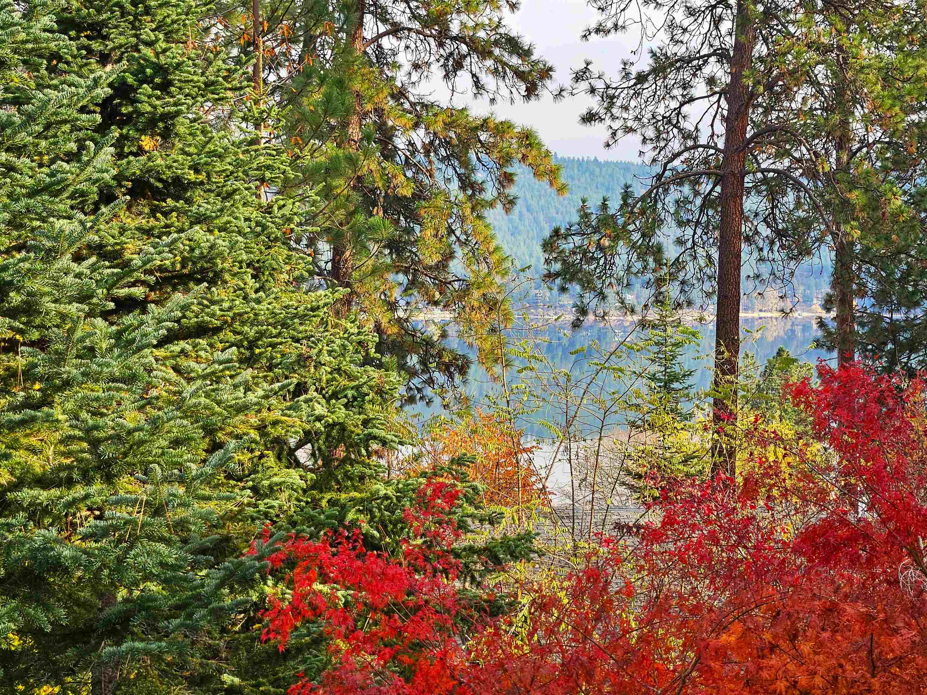 1221 South Garry Road Liberty Lake, WA 99019 - Photo 19 of 43 Gallery Image 19