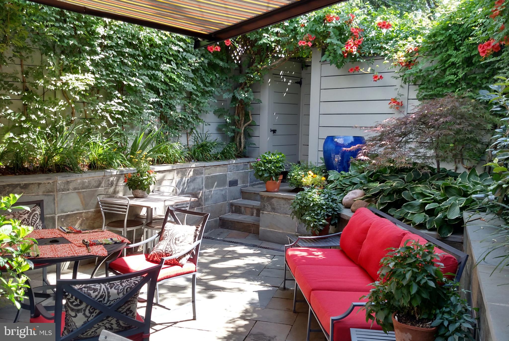 1507 33rd Street Northwest Washington, DC 20007 - Photo 26 of 42 REAR GARDEN IN SUMMER