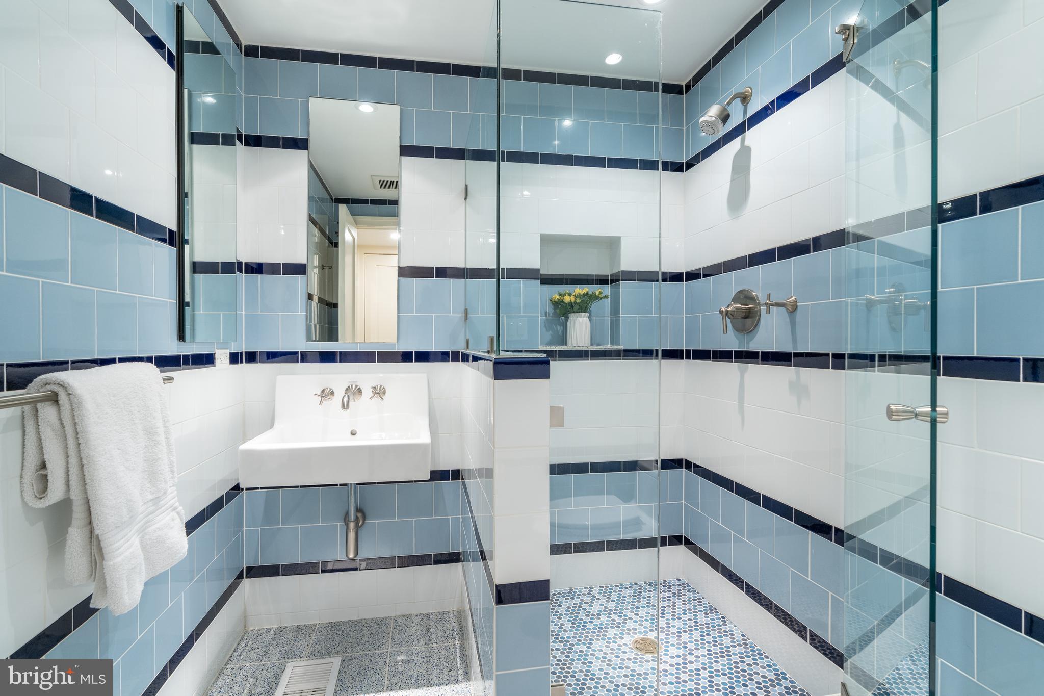 1507 33rd Street Northwest Washington, DC 20007 - Photo 39 of 42 ENSUITE BATHROOM 3