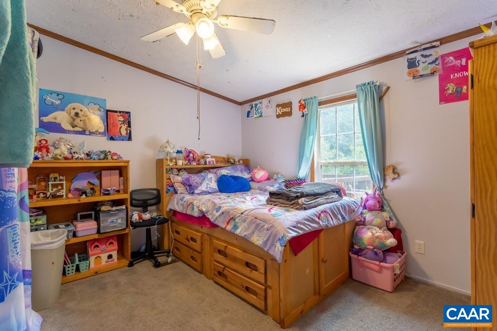176 Alpha Road Dillwyn, VA 23936 - Photo 22 of 35 Gallery Image 22