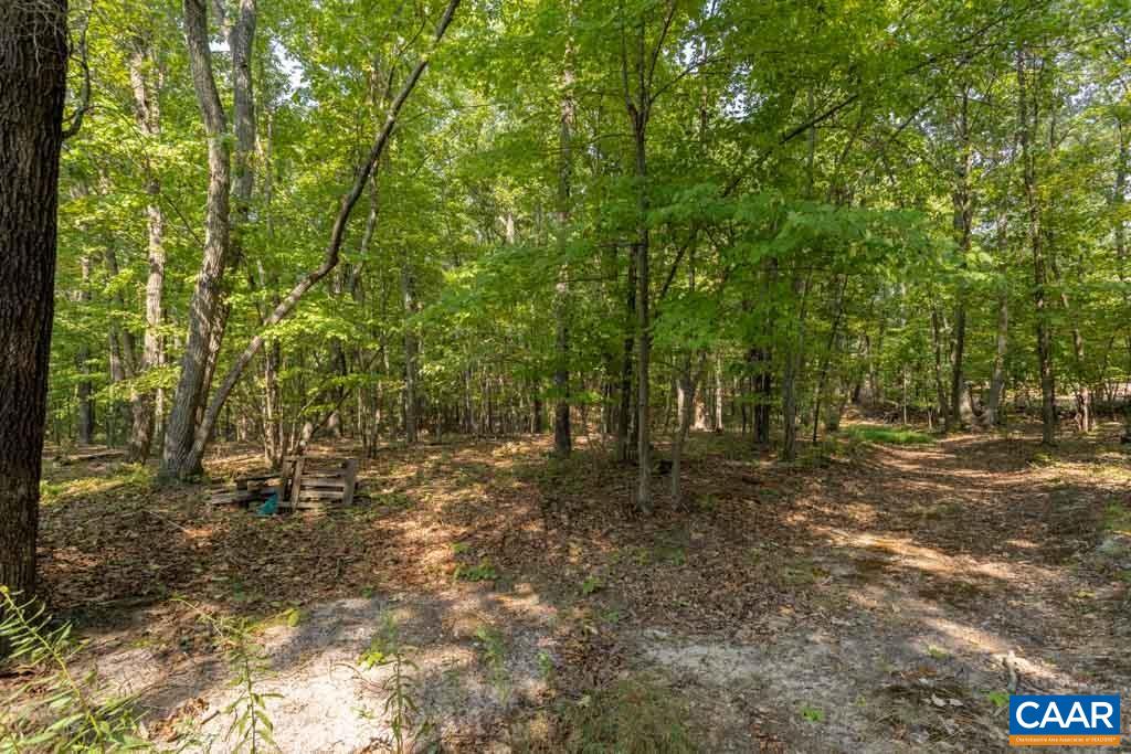 176 Alpha Road Dillwyn, VA 23936 - Photo 35 of 35 Gallery Image 35