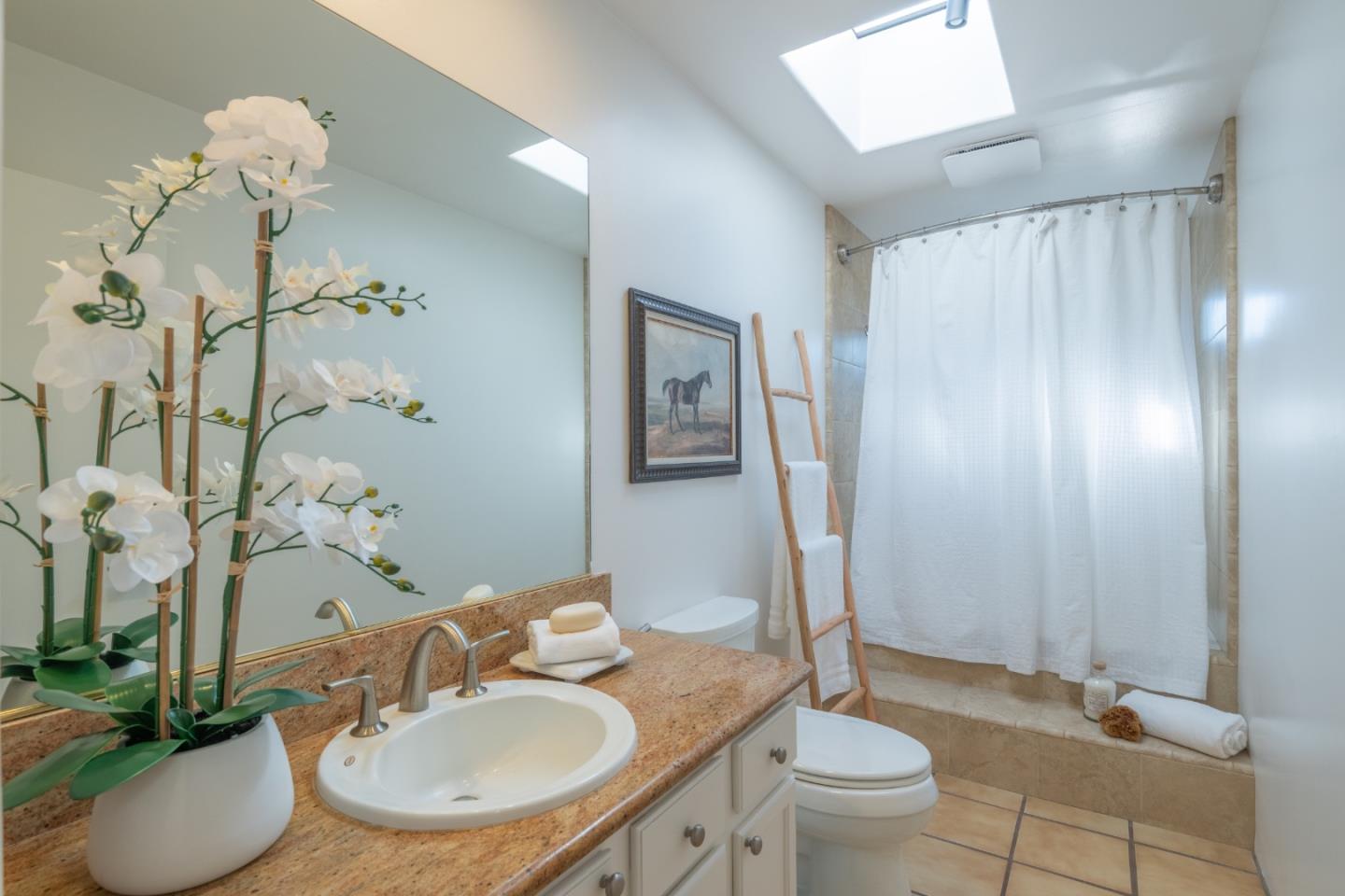 19 El Caminito Road Carmel Valley, CA 93924 - Photo 30 of 50 a bathroom with a granite countertop sink a toilet and a mirror