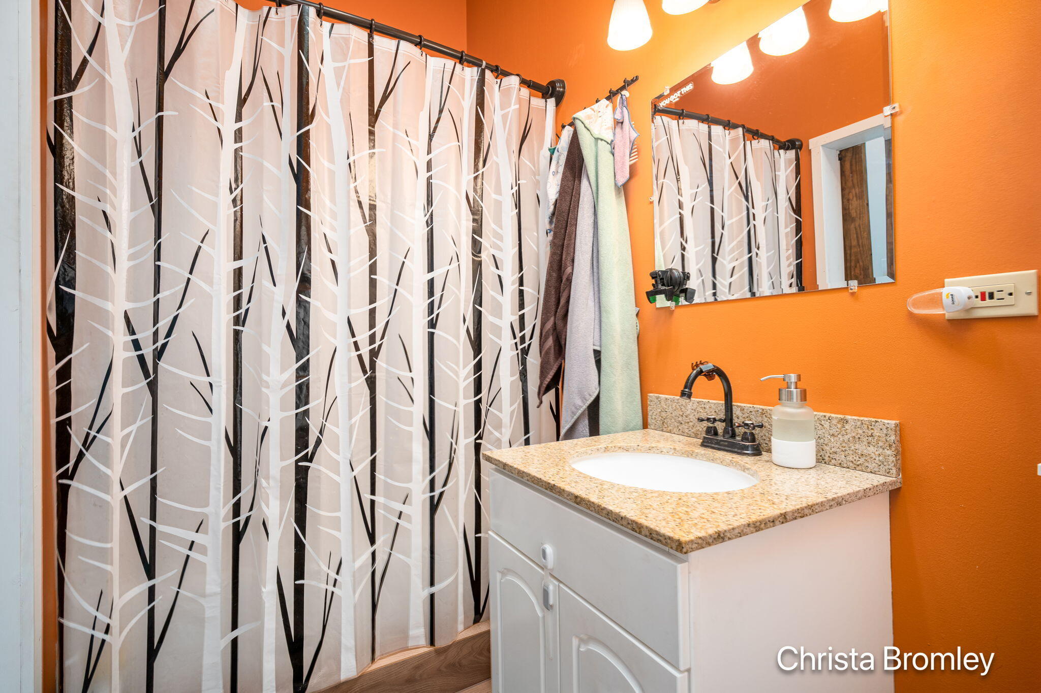 517 Front Street Lowell, MI 49331 - Photo 14 of 24 25-web-or-mls-517 Front St-25 (1)