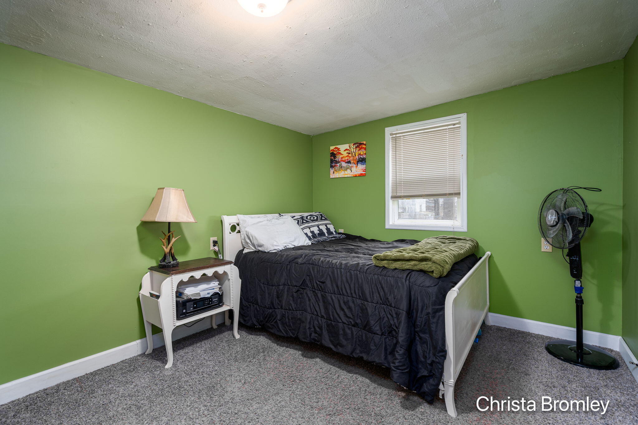 517 Front Street Lowell, MI 49331 - Photo 16 of 24 22-web-or-mls-517 Front St-22