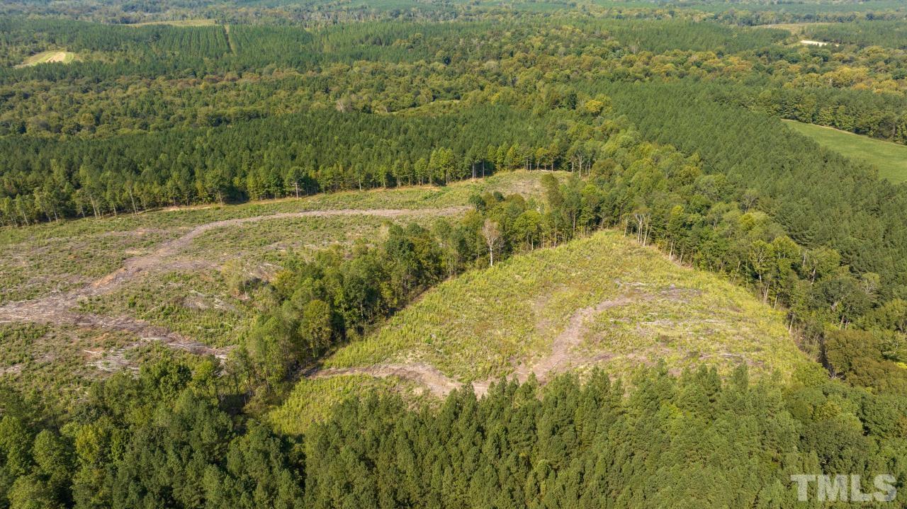 1050 Lawson Farm Road Roxboro, NC 27574 - Photo 3 of 19