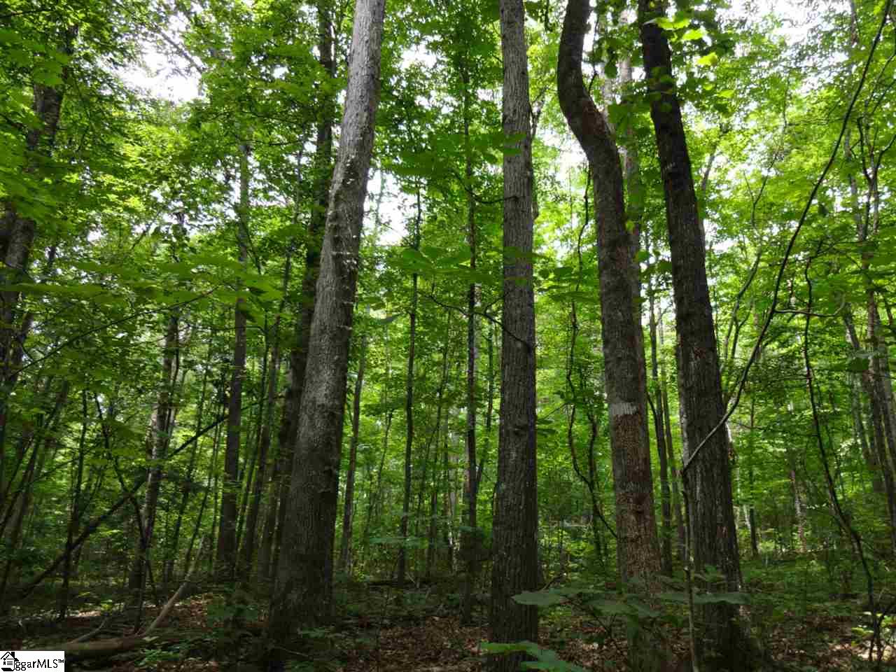 Winding Creek Road Norris, SC 29667 - Photo 14 of 26 Gallery Image 14