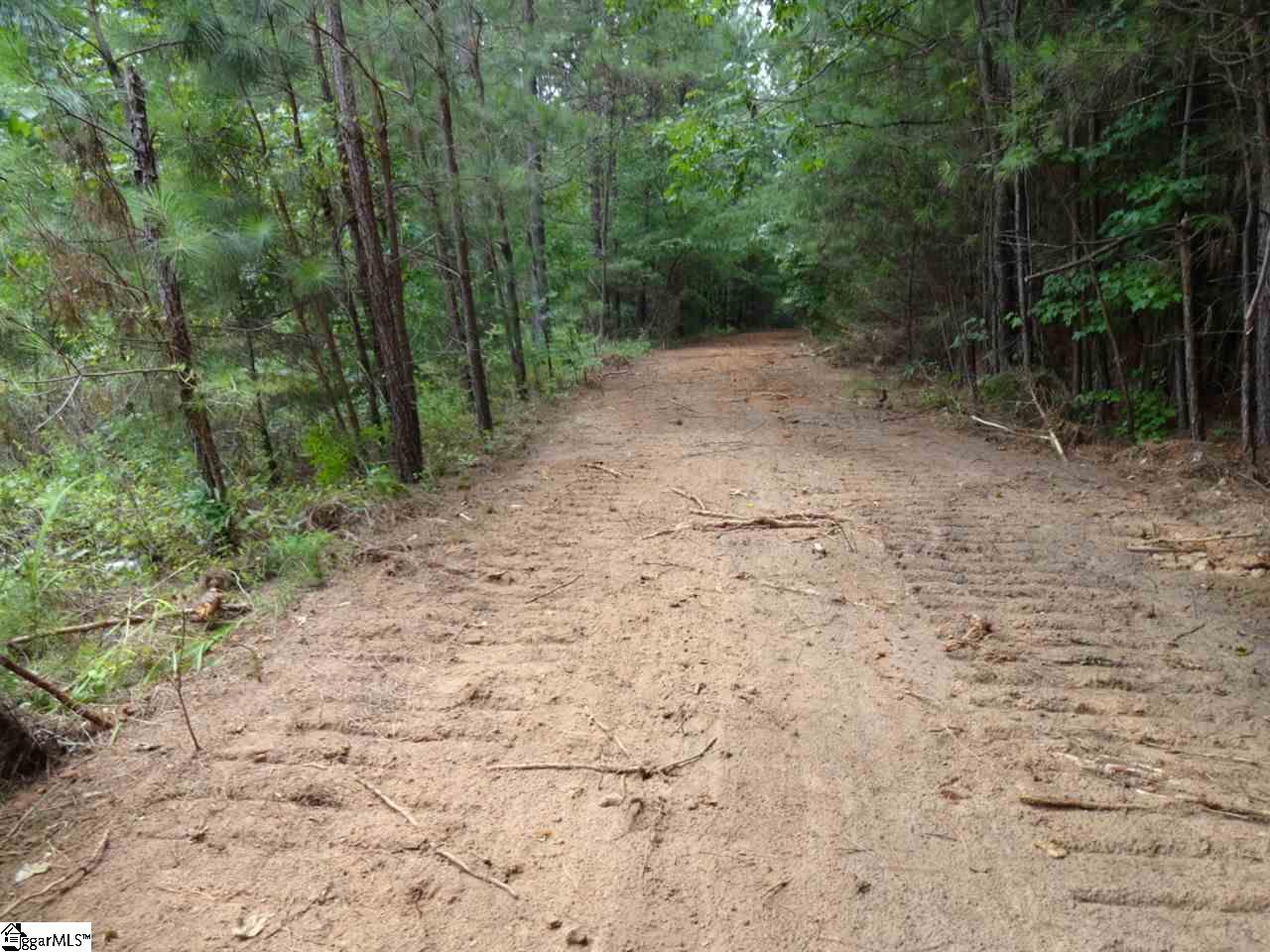 Winding Creek Road Norris, SC 29667 - Photo 8 of 26 Gallery Image 8