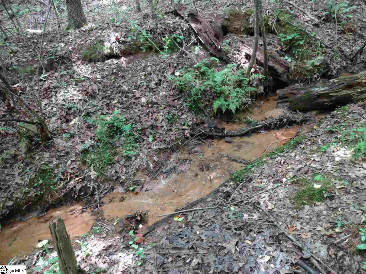 Winding Creek Road Norris, SC 29667 - Photo 10 of 26 Gallery Image 10