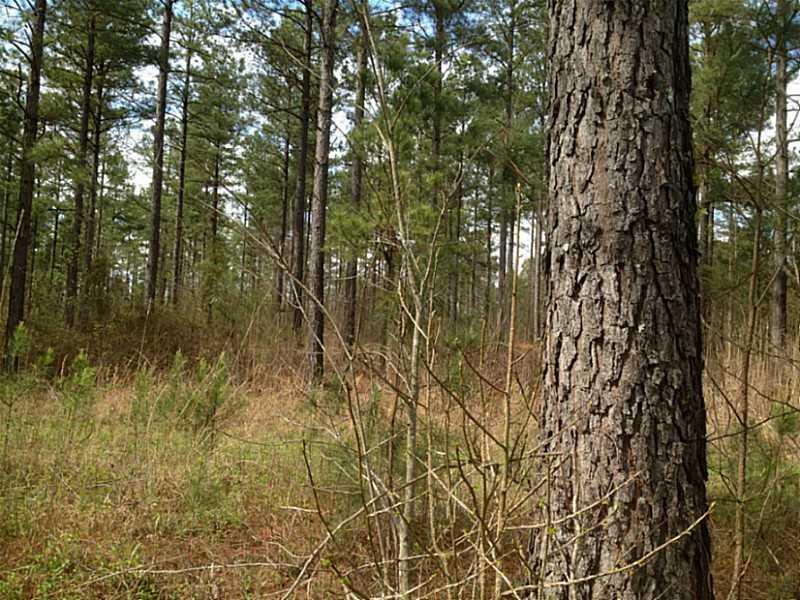 2 Arnold Spence Road Ball Ground, GA 30107 - Photo 1 of 1 a view of forest