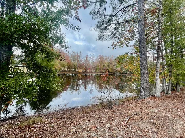 a view of a lake from a yard