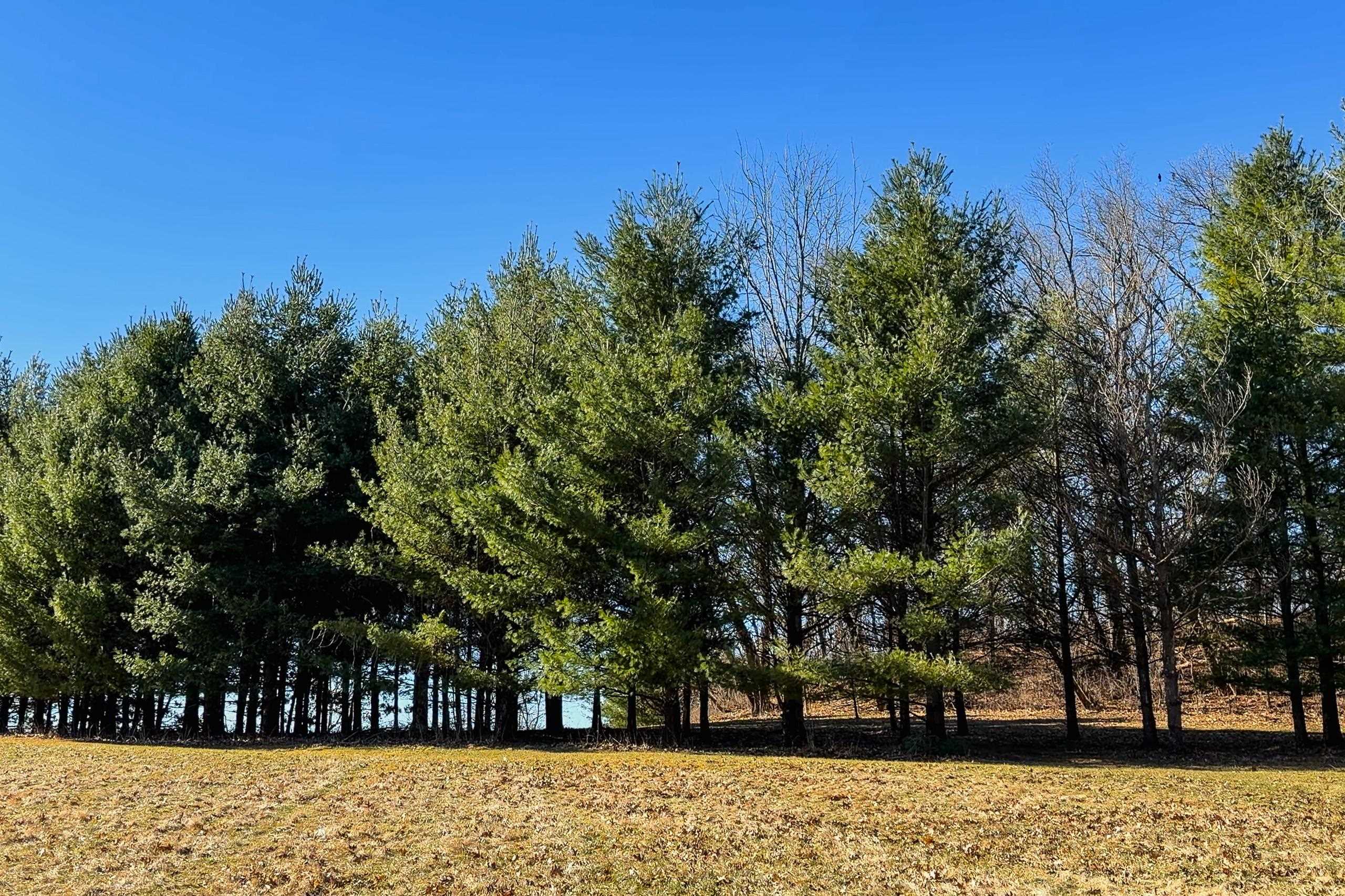 3265 Bergum Road Blue Mounds, WI 53517 - Photo 85 of 90