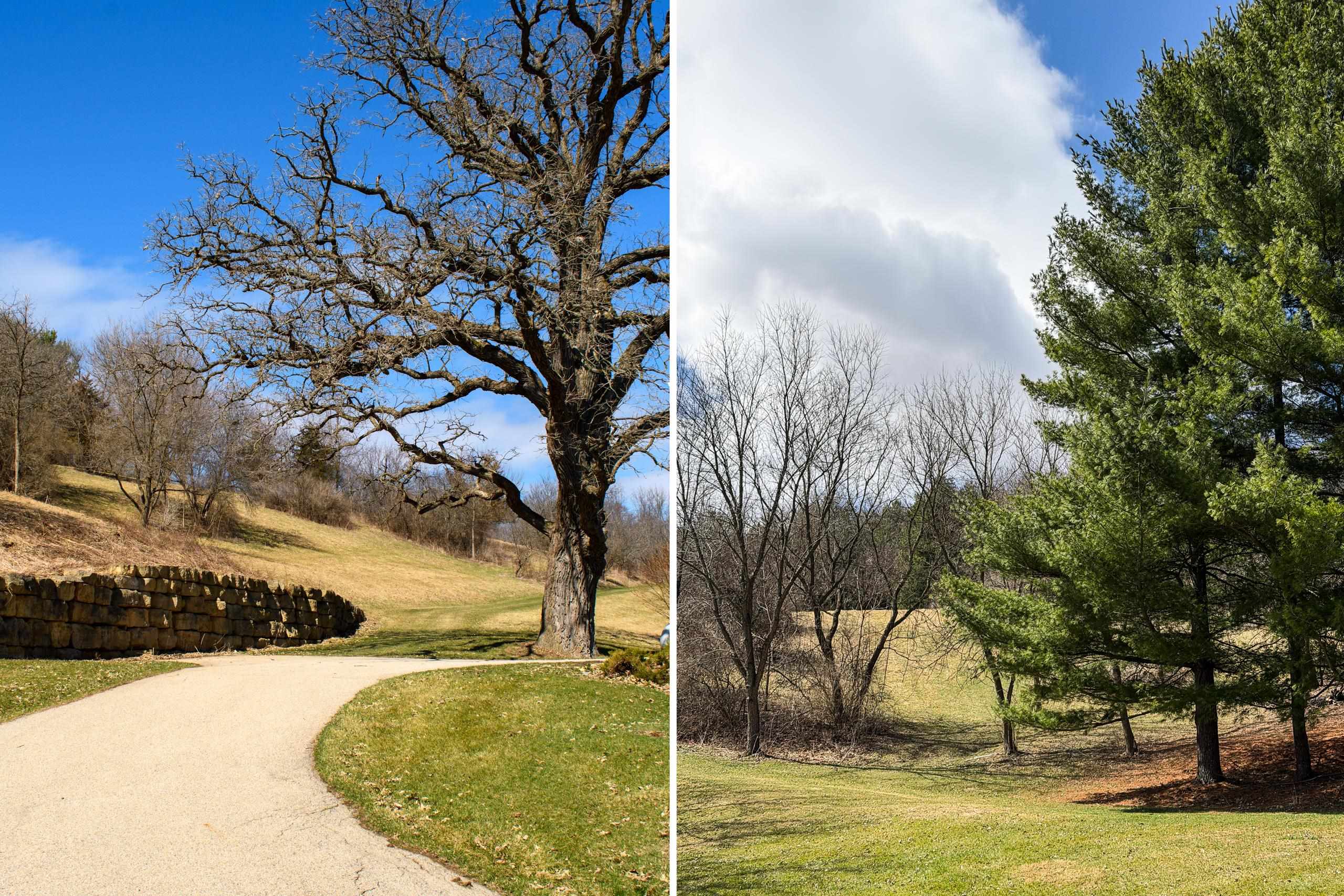 3265 Bergum Road Blue Mounds, WI 53517 - Photo 86 of 90