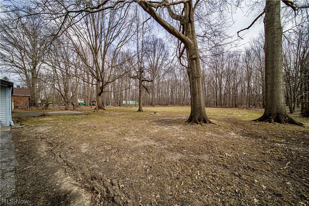 3047 Rockefeller Road Wickliffe, OH 44092 - Photo 28 of 35 Gallery Image 28