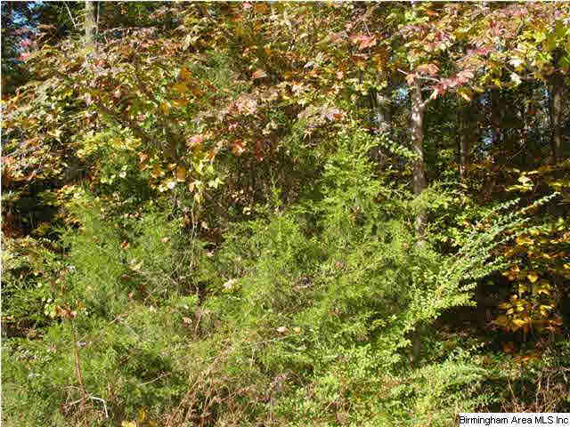 Old Choccolocco Road, Unit 73 Anniston, AL 36207 - Photo 3 of 30