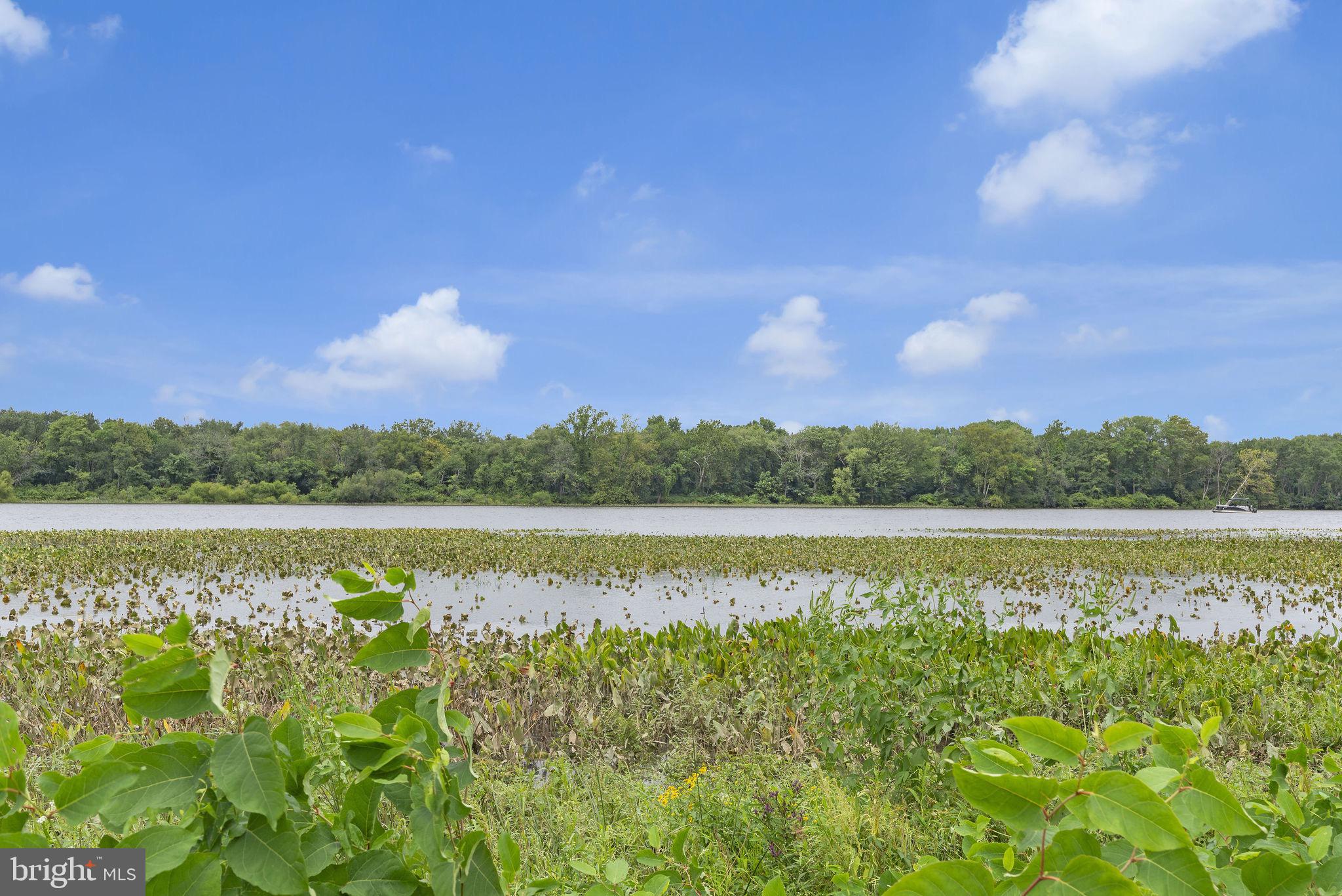 629 Polk Street Riverside, NJ 08075 - Photo 34 of 42 a view of lake with green space