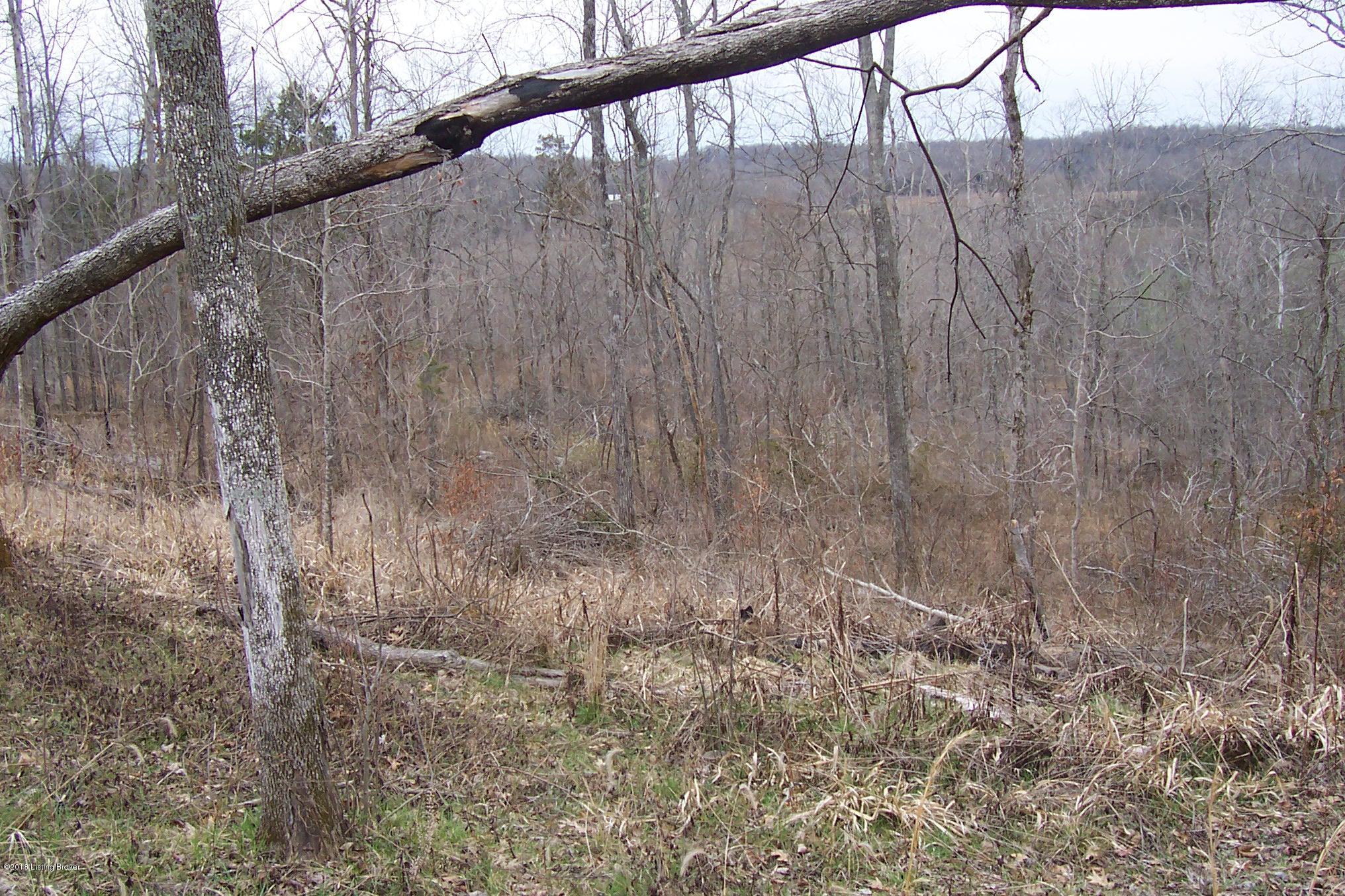 999 Mahurn Cemetery Road Caneyville, KY 42721 - Photo 4 of 12 100_6490