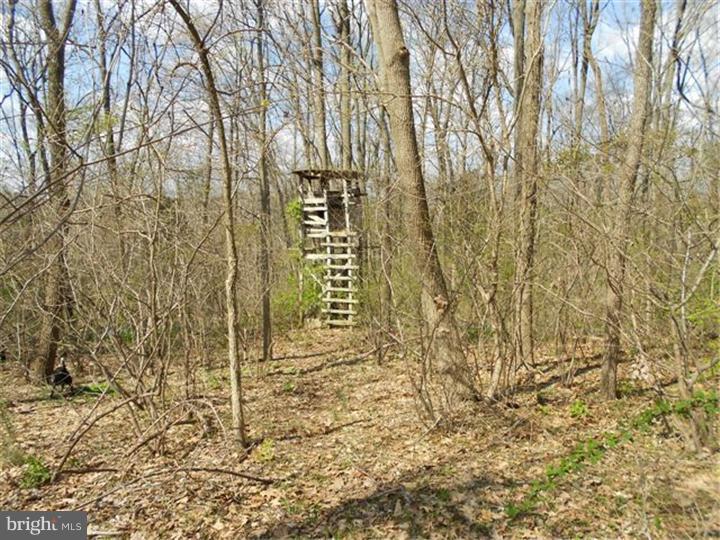 3023 Finland Road Pennsburg, PA 18073 - Photo 8 of 15
