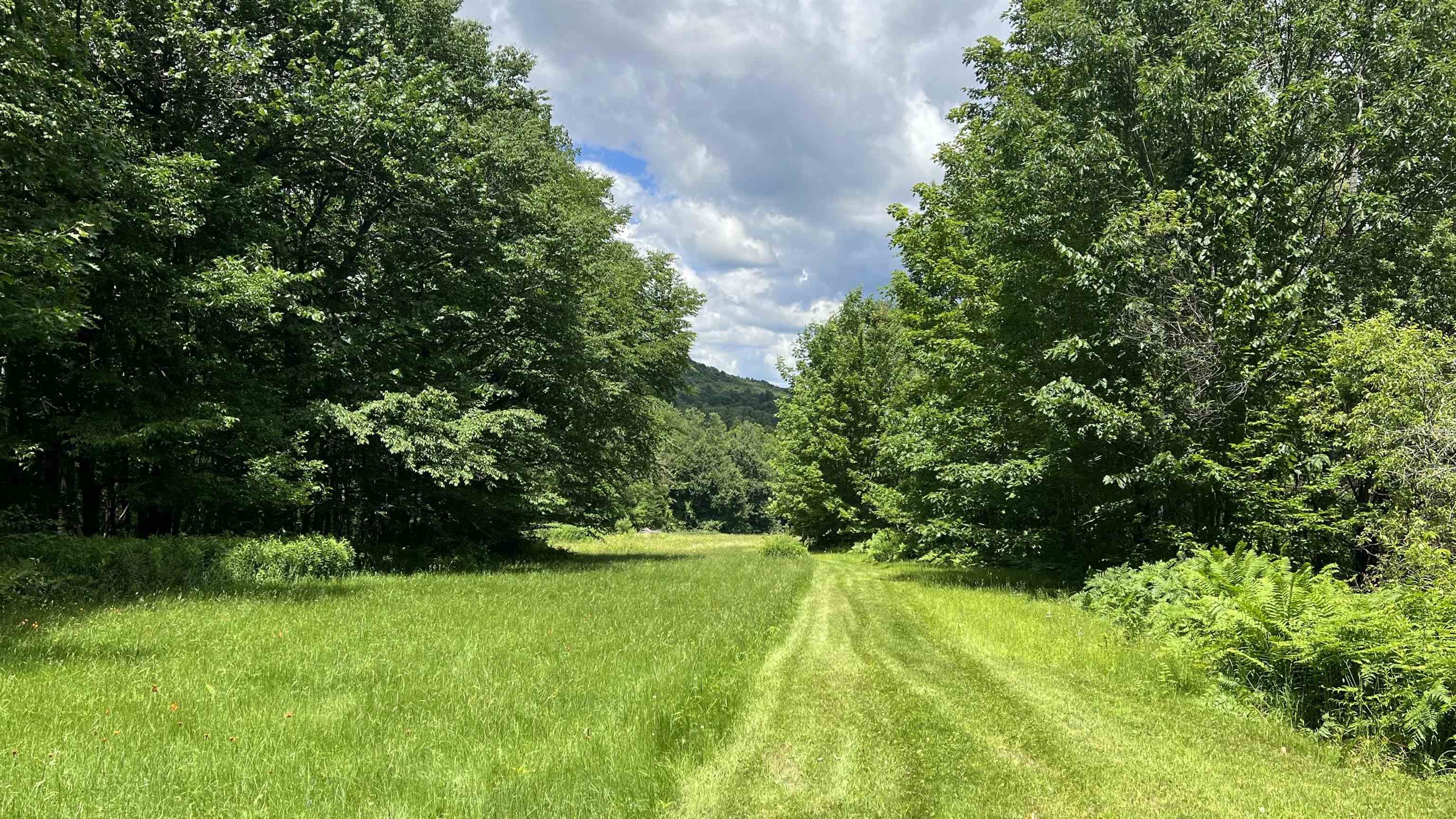 412 Hall Ranch Road Grafton, VT 05146 - Photo 44 of 48