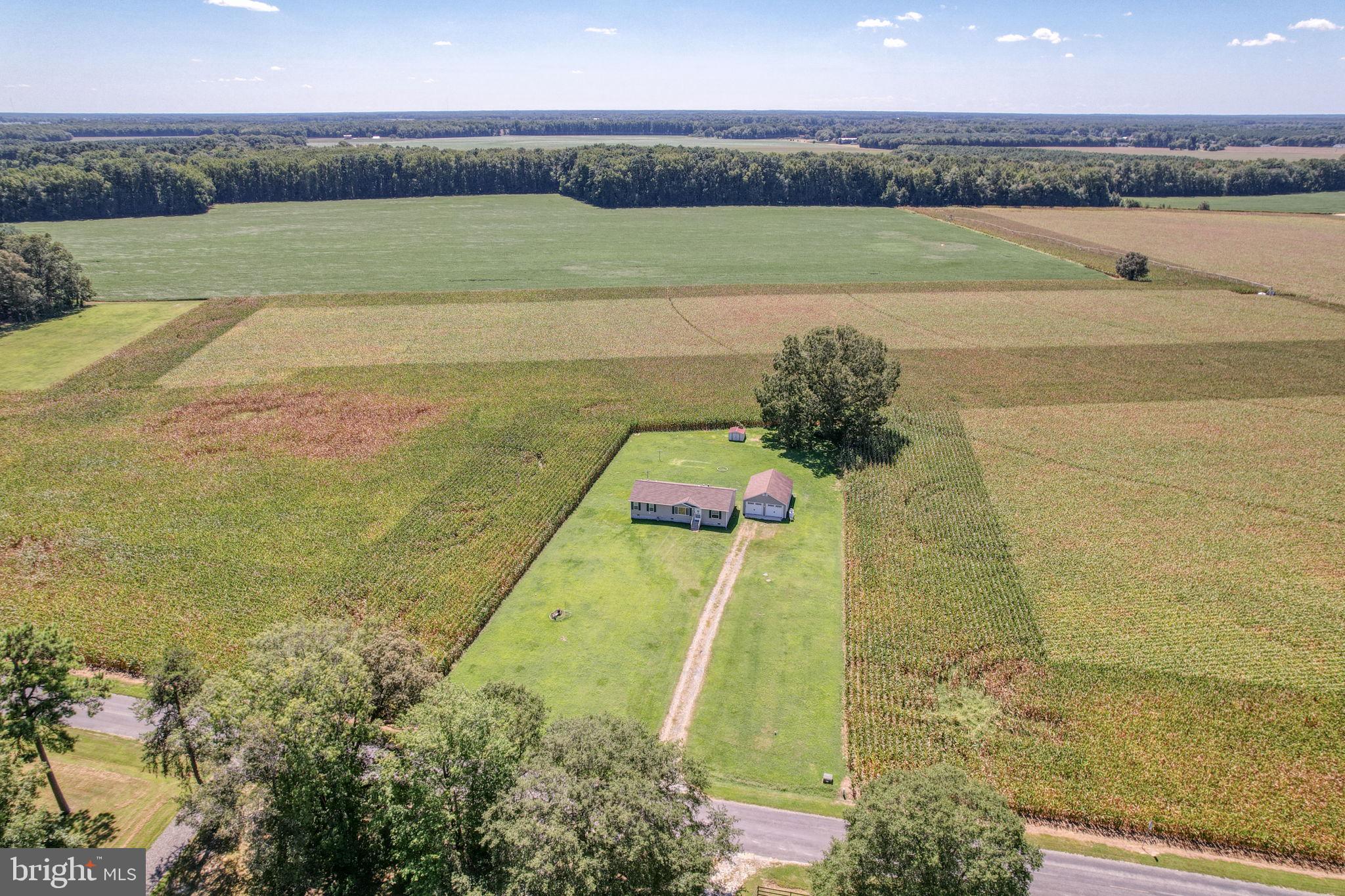2828 Guard Road Federalsburg, MD 21632 - Photo 1 of 25 Aerial view of 2828 Guard Rd