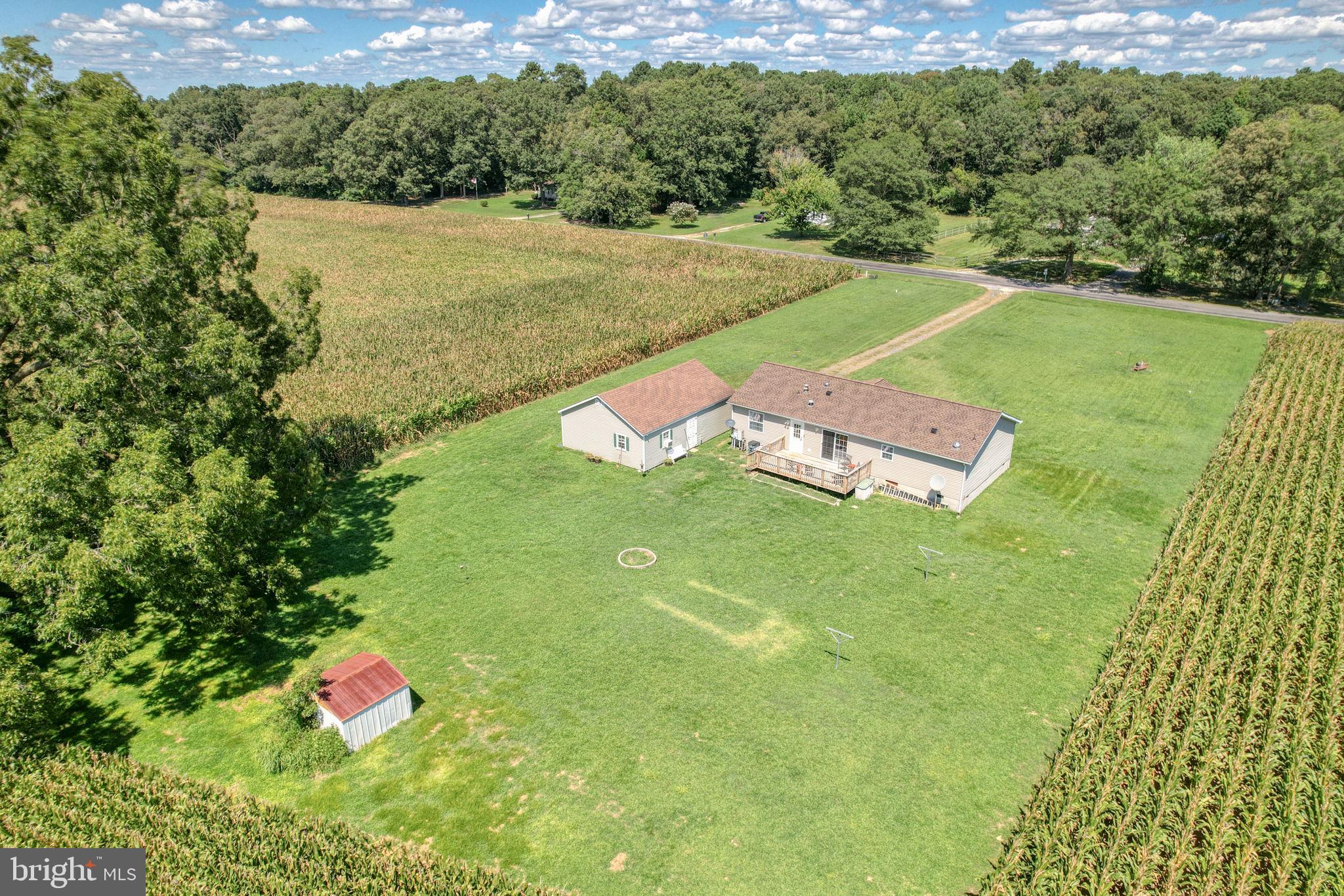 2828 Guard Road Federalsburg, MD 21632 - Photo 3 of 25 Gallery Image 3