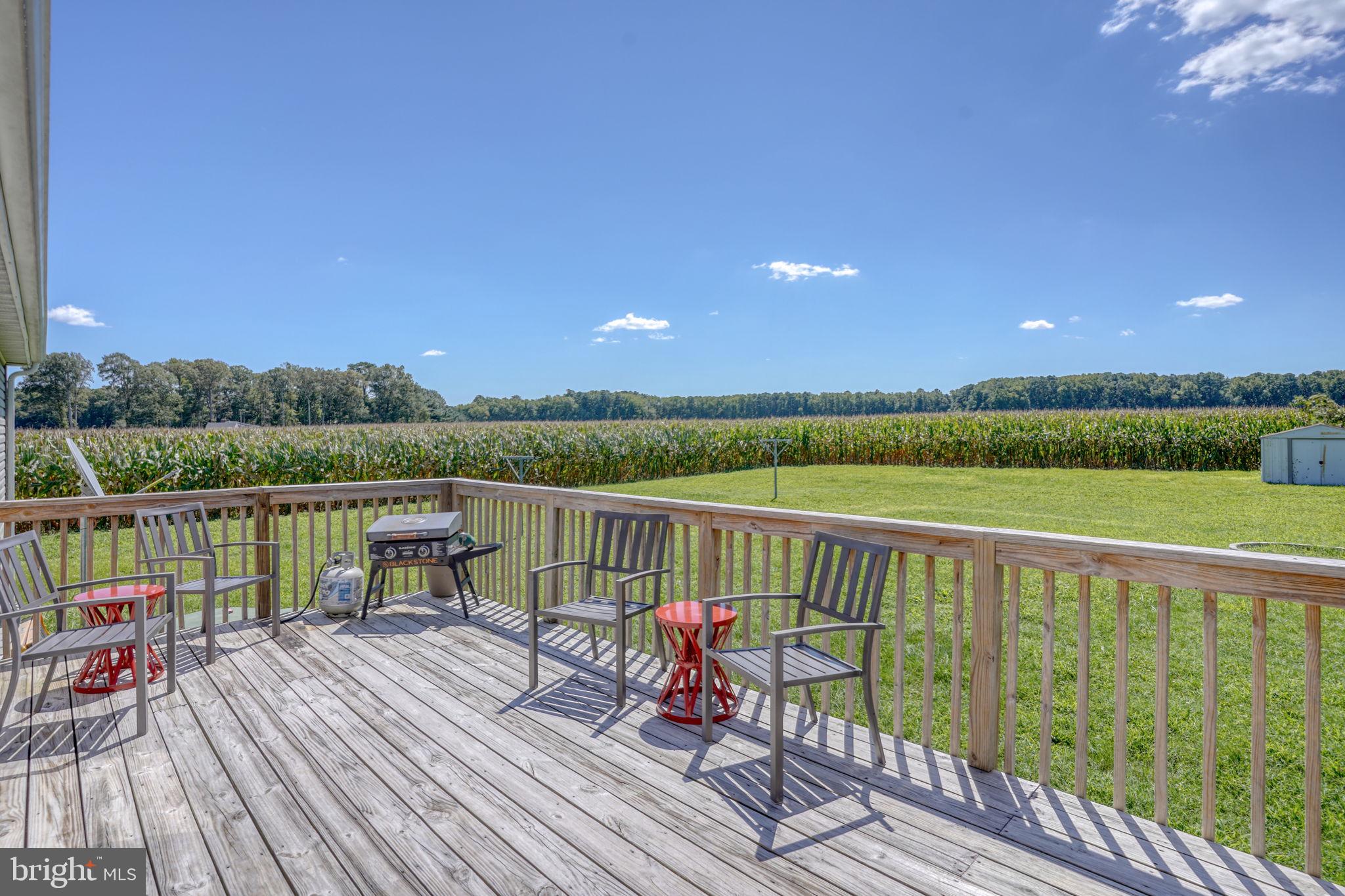 2828 Guard Road Federalsburg, MD 21632 - Photo 5 of 25 Gallery Image 5