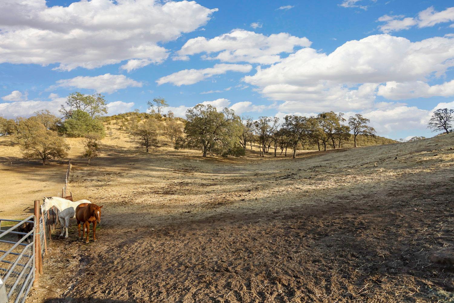 178 Carmel Road Burson, CA 95225 - Photo 55 of 67